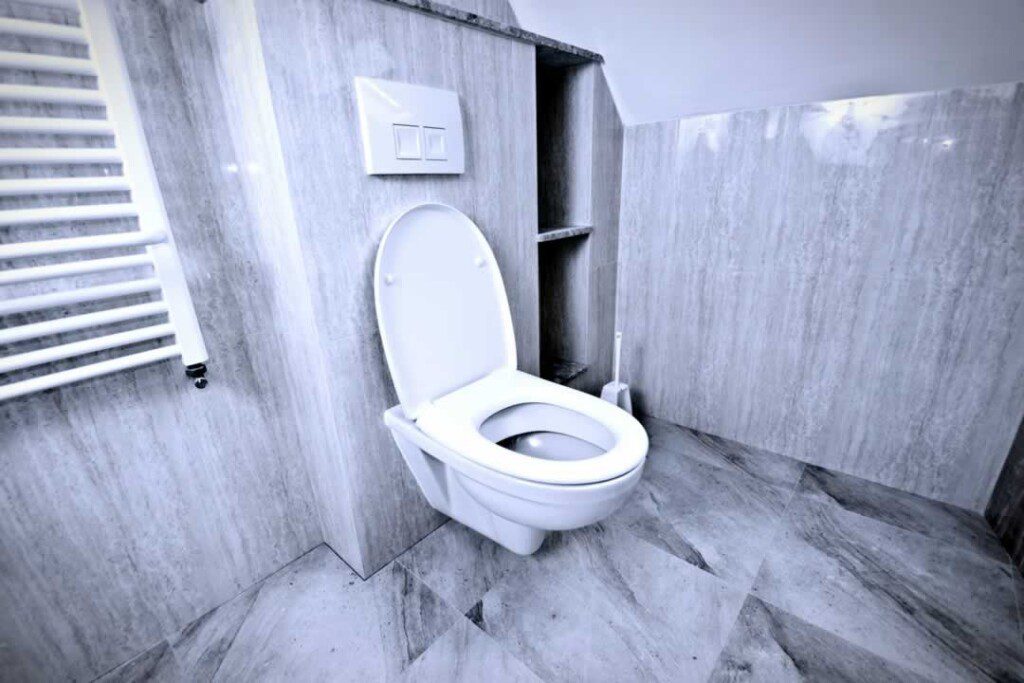 Toilet Installation &Amp; Repair
