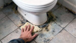 Diy Wax Ring Replacement: When Diy Works Wax Ring Replacement Under Toilet Base Showing Old Wax Ring Removal And New Rubber Seal Installation