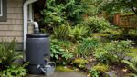 Rain Barrel Install Guide: Save Water This Summer Rain Barrel Installed Under A Downspout With A Watering Can At The Spigot